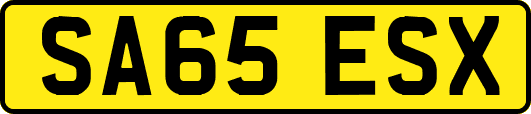 SA65ESX