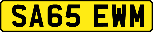 SA65EWM
