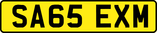 SA65EXM
