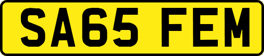 SA65FEM