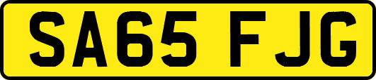 SA65FJG