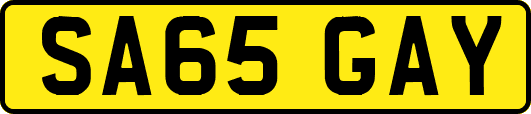 SA65GAY