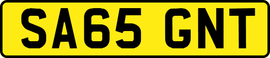 SA65GNT