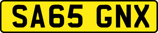 SA65GNX