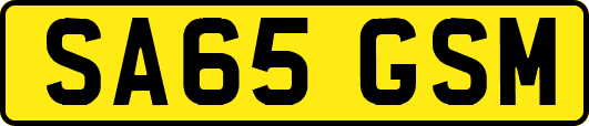 SA65GSM