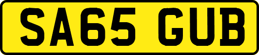 SA65GUB