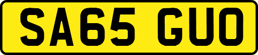 SA65GUO