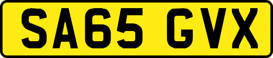 SA65GVX