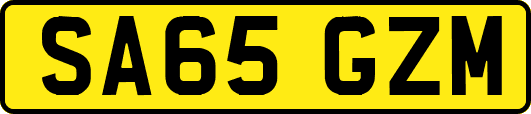 SA65GZM
