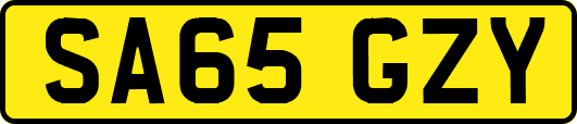 SA65GZY