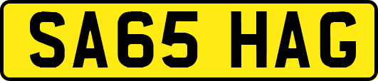 SA65HAG
