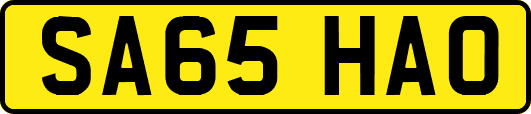 SA65HAO