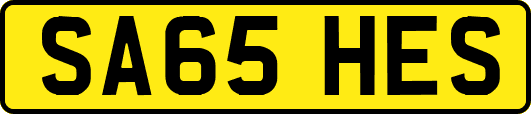 SA65HES