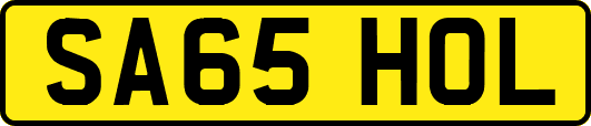 SA65HOL