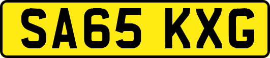 SA65KXG