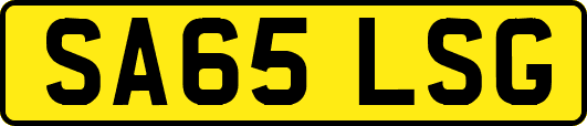 SA65LSG