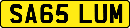 SA65LUM