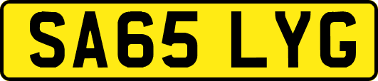 SA65LYG