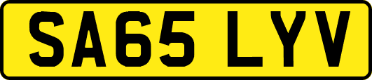 SA65LYV