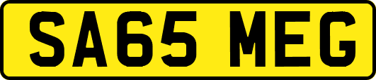 SA65MEG