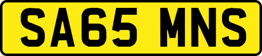 SA65MNS