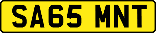 SA65MNT