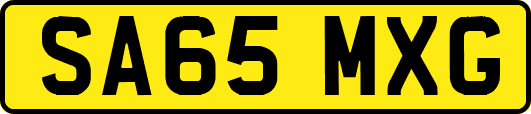 SA65MXG