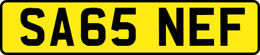 SA65NEF