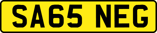 SA65NEG