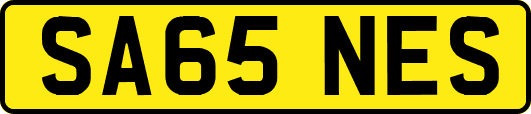 SA65NES