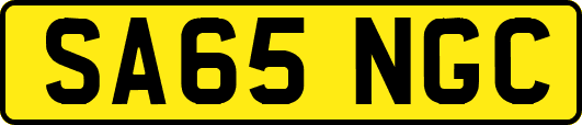 SA65NGC