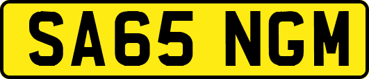 SA65NGM