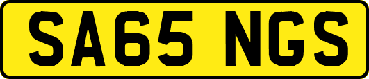 SA65NGS