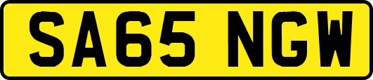 SA65NGW