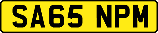 SA65NPM
