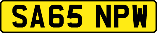 SA65NPW