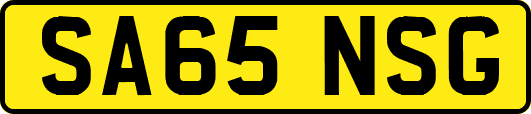 SA65NSG