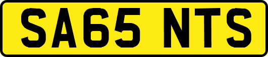 SA65NTS