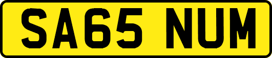 SA65NUM