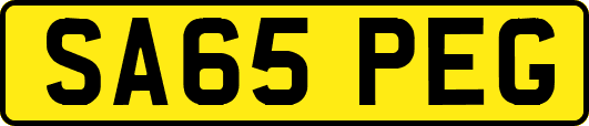 SA65PEG