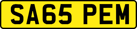SA65PEM