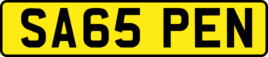 SA65PEN
