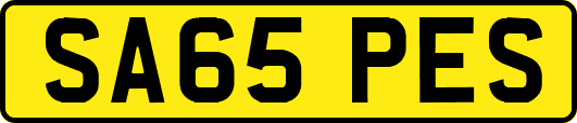 SA65PES