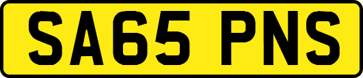 SA65PNS