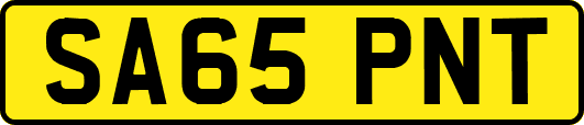 SA65PNT