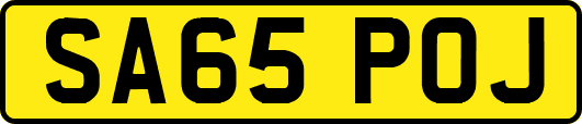 SA65POJ