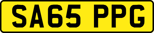 SA65PPG