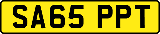 SA65PPT