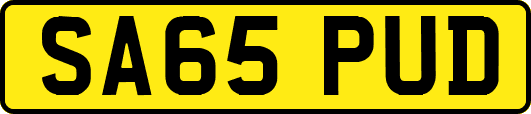 SA65PUD