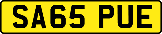 SA65PUE